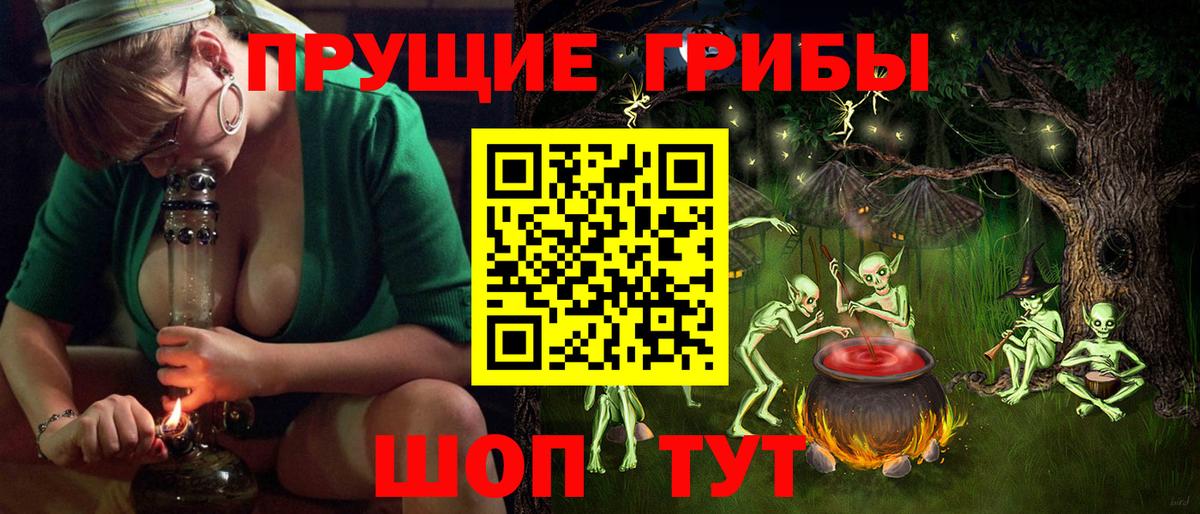 Галлюциногенные грибы Psilocybine cubensis Липецк
