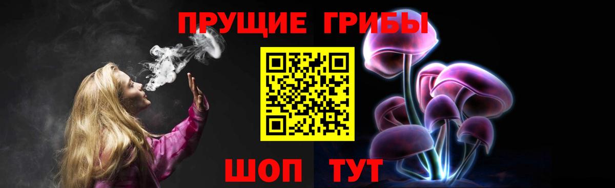 Псилоцибиновые грибы мухоморы  Псилоцибиновые грибы GOLDEN TEACHER  Вход с VPN  Липецк 